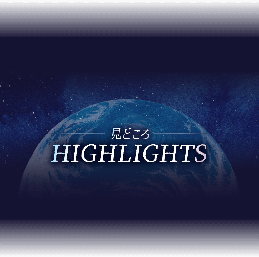 見どころ HIGHLIGHTS